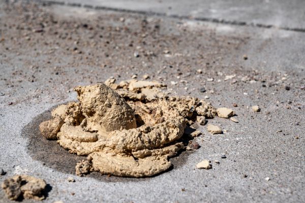 Cost of Driveway Slab Leveling in Elmhurst
